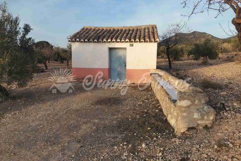Grond in Biar, Alicante, Biar - € 65.000 | Ref: SF0442 - foto 6